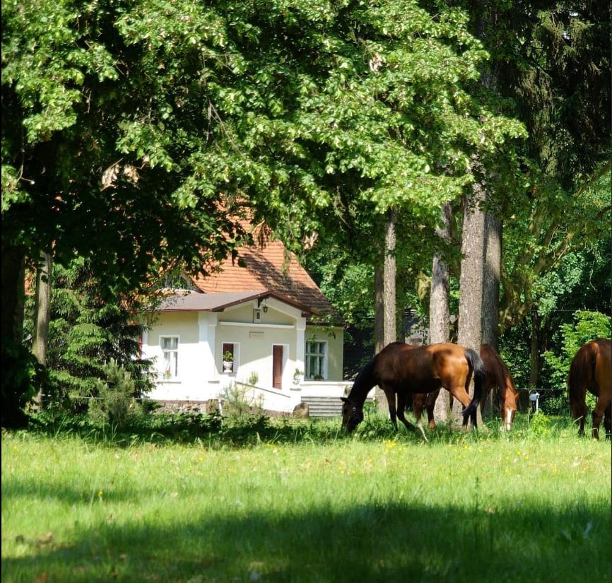 dworek w parku z końmi