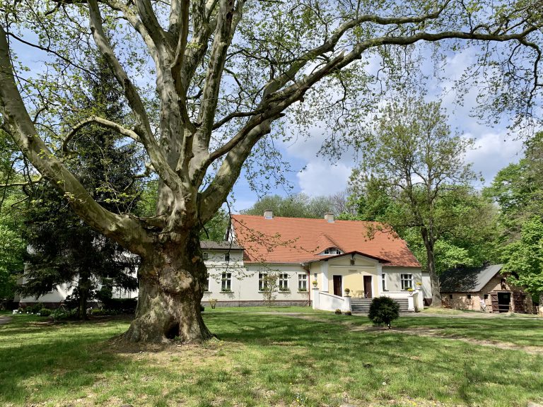 tradycyjny dworek w zielonym parku