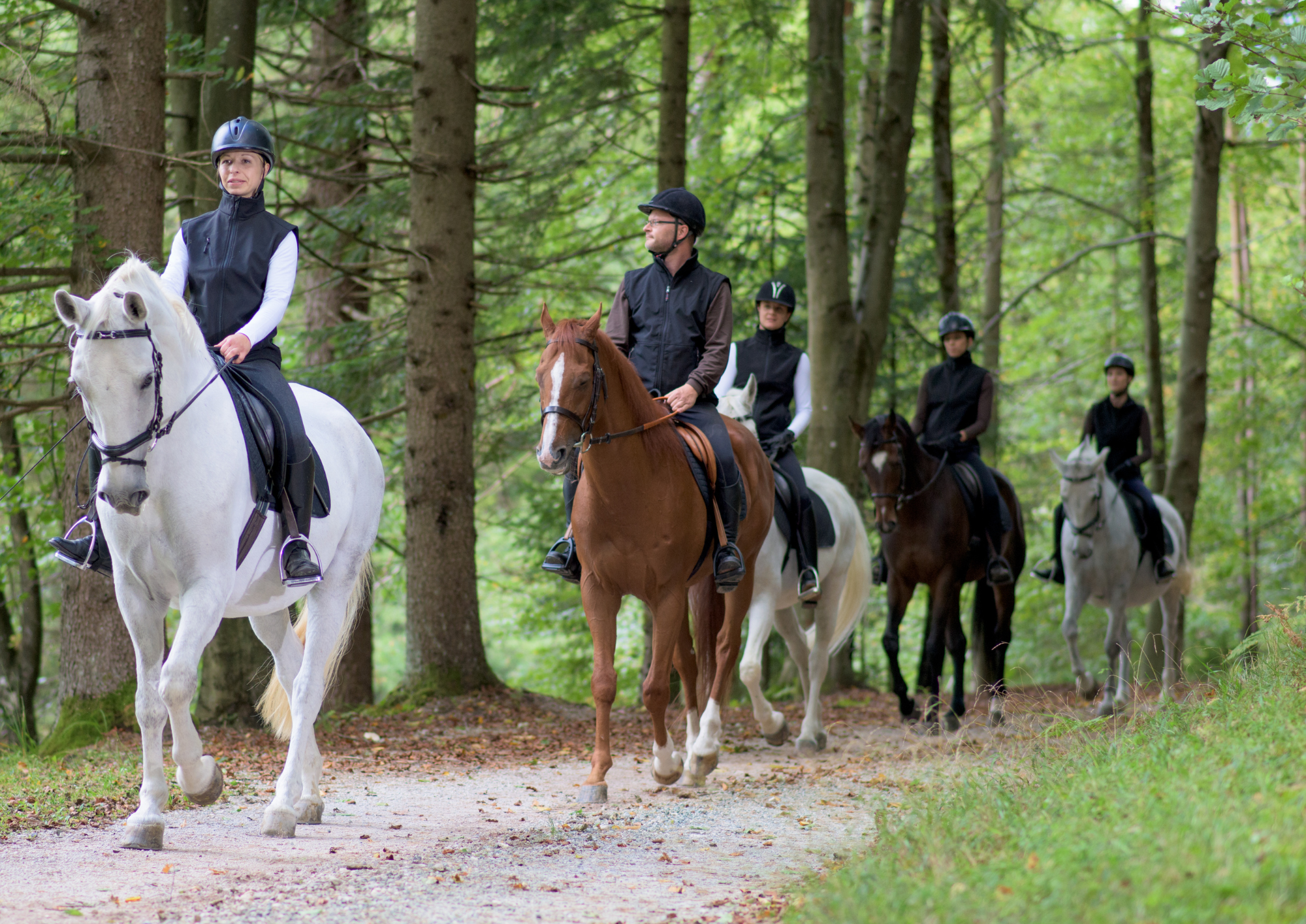 Turystyka konna Wielkopolska – odkryj naturę w siodle z Dworem Andrzejówka