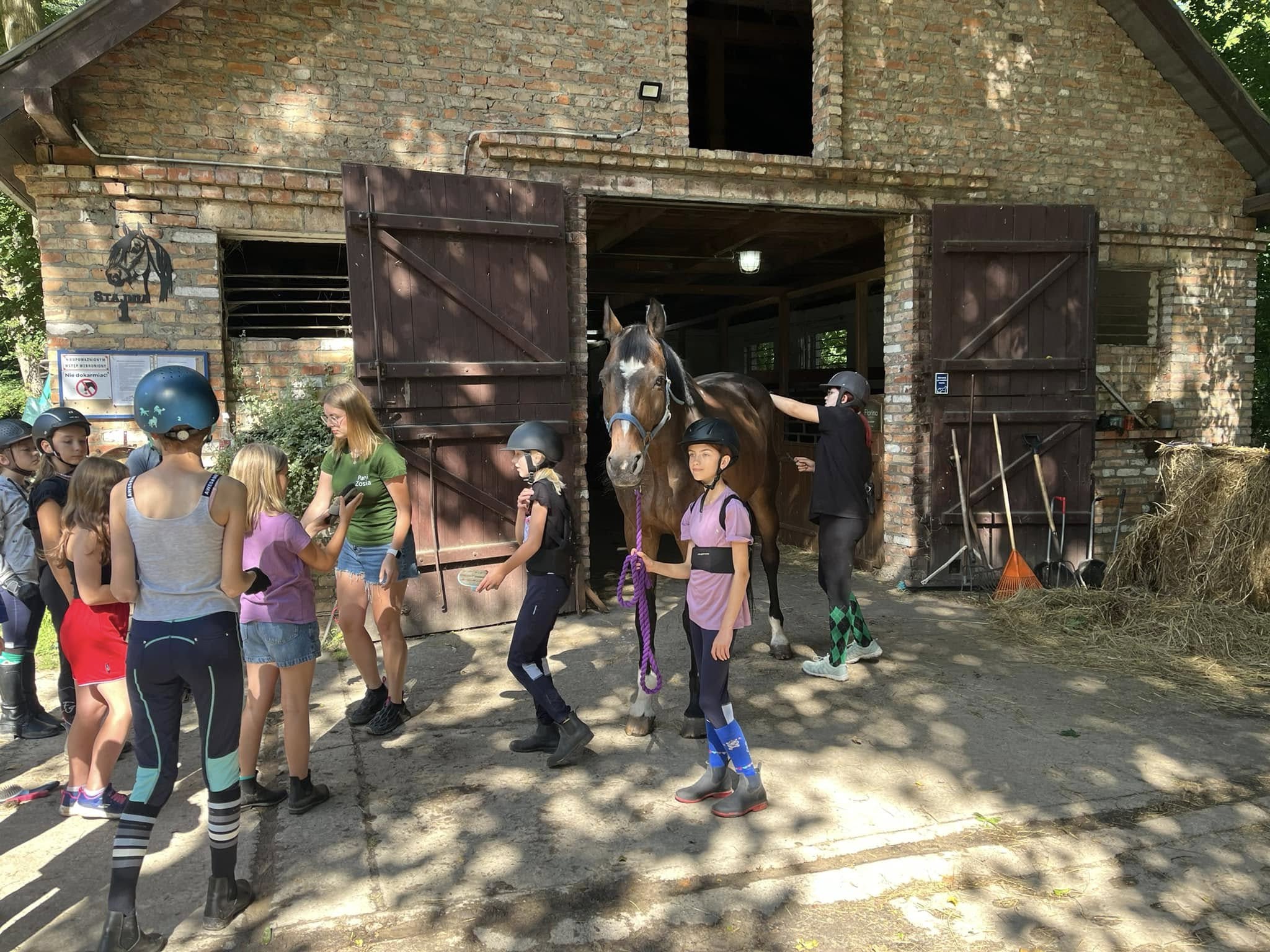 Obozy konne Wielkopolska – niezapomniane wakacje w siodle