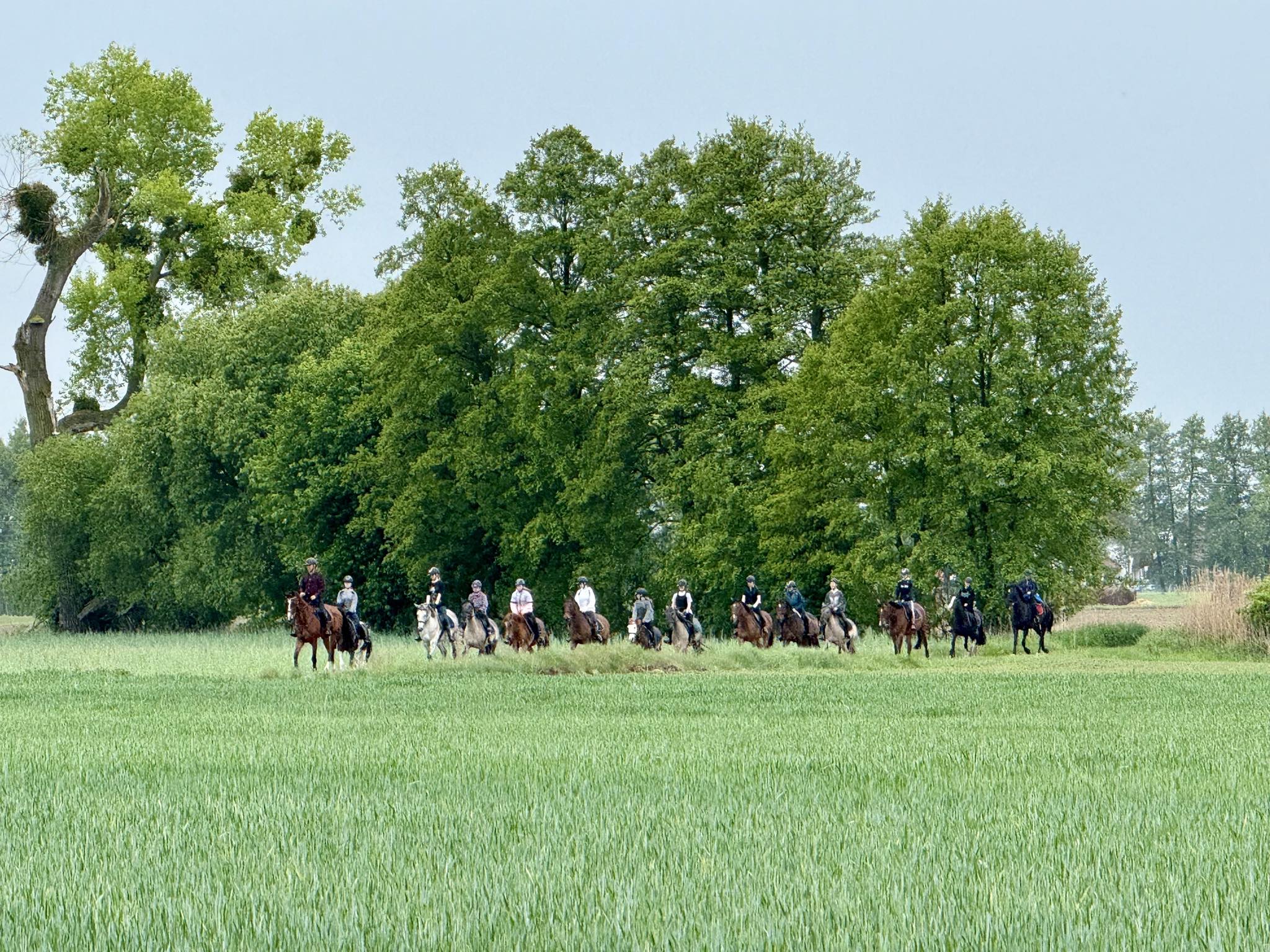 Obóz jazdy konnej dla dzieci – idealne wakacje dla Twoich pociech