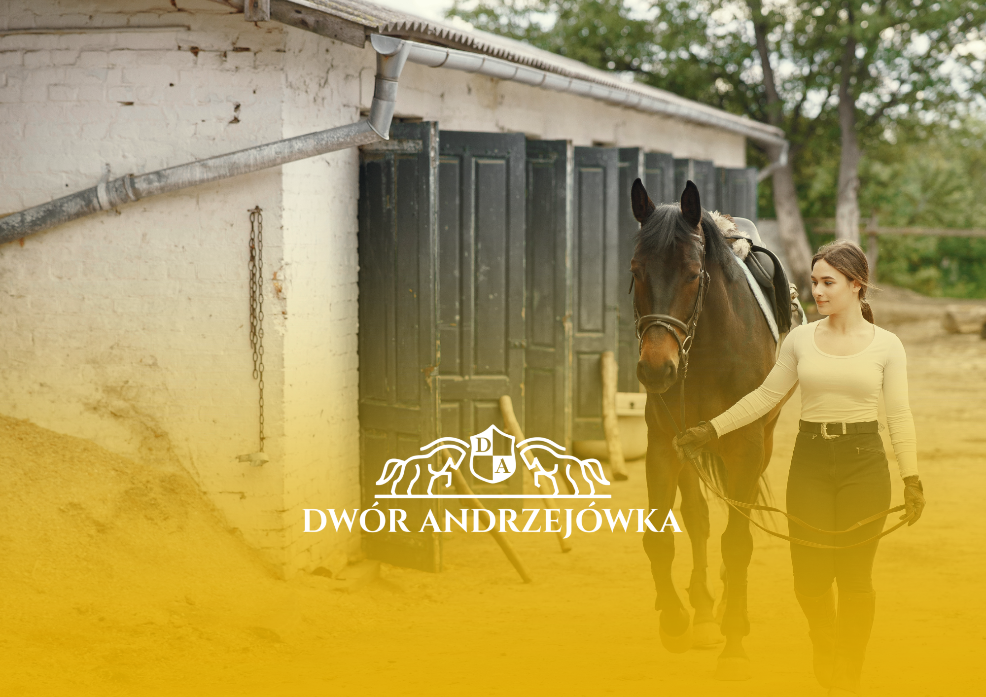 Stadnina koni Poznań i okolice – jak wybrać odpowiednie miejsce?